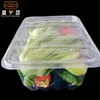 Dîne jetable personnalisable Pitre jetable Fruit Vegetable Food Grade plateau Conteneur en plastique