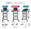 2022 EMS body shaping and beauty machine hot selling weight loss muscle stimulation machine human body sculpture machine