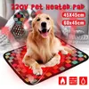 Dywany Pet pies kot zima ciepła elektryczna podkładka dywan dla zwierząt wodoodporny pluszowy koc ogrzewanie ogrzewania dywanów dywanów