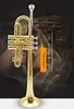 Drop E trompette D tune spécial pour les débutants pour jouer des cuivres pour adultes et enfants avec bagages