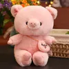 Cartoon coniglietto orso bambola di buon auspicio piccolo maiale bambola peluche regalo di compleanno per bambini