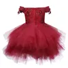 Abiti da ragazza Vestito da bambina nata per 1 anno di compleanno Costume da tutu in tulle di pizzo rosso per bambini