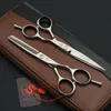 DRGSKL Willow leaf shape hair scissors high quality, 5.5/6.0/6.5 inch professional dressing lancet cut shears 220317