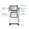 Hydrojet Alice : Pulvérisateur d'oxygène multifonctionnel pour un nettoyage en profondeur de l'hydratation