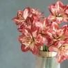 Один настоящий прикосновение Barbadoslily Flower Branch Artificial Pu Hippeastrum vittatum стебель для свадебных центральных композиций.