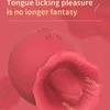 Sex leksaksleksak massager slickar rose vibrator kvinnor vaginal klitoris stimulator bröstvårtan klitor massage onanator kvinnliga leksaker för vuxna 18 2jol