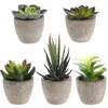 Flores decorativas grinaldas conjuntos em vasos de suculentas plantas cerâmica bomte com panelas cimento Flor artificial Fake for Wedding Garden Home De De