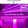 Solar LED Full Spectrum Phyto Lamp 5V Impermeabile Grow Light Strip 2835 Lampada Bead per piante Fiori Serra Cultivo Hydroponic Dropship