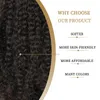 Afro crépus bouclés perruques de dentelle synthétique Gluels perruques de vague d'eau pour les femmes noires perruque de Fiber résistant à la chaleur partie centrale utilisation quotidienne