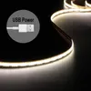 Полосы USB LED LED COB LIGHT 320LED/M с питанием с высокой плотностью линейного линга