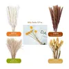 66pcs Dried Pampas Grass Decor Real Reed Grass Fluffy Dry Flowers Wedding DIY Bohemian Natural Bouquet For Home 220406