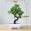 Suministros para fiestas Planta de simulación Árbol en maceta artificial Bonsai Decorativo Plantas verdes falsas Adornos Hogar Hotel Jardín Decoración Decoración de boda 20220514 D3