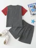 Toddler Boys Color Block Tee With Track Shorts SHE01