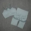 Calças de duas peças femininas femininas ioga terno esportivo