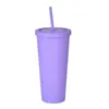 22OZ TUMBLERS Matte Mug Colored Acrylic Tumbler with Lids and Straws Double Wall Plastic Reusable Cup FY4489 sxmy24