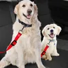 9 colori Cat Dog Car Safety Cintura di sicurezza Imbracatura Regolabile Pet Puppy Pup Hound Veicolo Cintura di sicurezza Guinzaglio per cani Forniture per animali domestici MJ0453