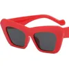 Hip Hop Sunglasses Personality Cat Eye Sun Glasses Unisex Anti-UV Spectacles Oversize Frame Eyeglasses Retro Ornamenta A++