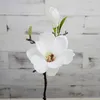 2heads Symulacja stolik dinningowy Magnolia Flower Display wilgotność sztuczna domowa dekoracja salonu kwiaty gałąź