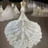 2022 Sexig sjöjungfru bröllopsklänningar brudklänning spets applikation ärmlös illusion bodice juvel hals svep tåg skräddarsydd vestido de novia