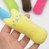 Mody mini zęby szlifowanie zabawek z kocimiętami zabawne interaktywne pluszowe kota