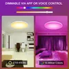 LED Sufit Lightions Mocowanie 12-calowe 30 W inteligentne światła sufitowe RGB Zmiana kolorów Bluetooth Wi-Fi Control 2700K-6500k Dimmable Sync z muzyką