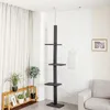 H228274cm Domestic Delivery Pet Cat Tree Scratcher Post Adjustable Scratching Climbing Tree Cat Toy Super High Cat Jumping Toys 276319995