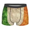 パンツ 2022 ポリエステルアイルランド国旗ヴィンテージ男性ボクサーパンツメンズパンティー下着男性のカップル
