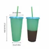 5pcs Reusable Drinkware Color Changing Cups Cold Drinks Travel Tumbler with Lid Straw Fast Deliver By Sea