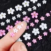 Fleurs 3D pour les ongles décoration art de petits kits de perles en verre diamant mixte taille de correspondance avec boîte de rangement 3000pcs
