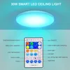 LED Sufit Lightions Mocowanie 12-calowe 30 W inteligentne światła sufitowe RGB Zmiana kolorów Bluetooth Wi-Fi Control 2700K-6500k Dimmable Sync z muzyką