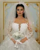 Graceful Sheer Neck Jewel Wedding Dress Full Sleeves Sequins Appliques Bridal Gowns Custom Made Long Train Vestido de novia