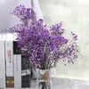 Сохраненные цветы Gypsophila paniculata натуральная свежая сушеной ребенок 039s дыхание цветочный букет свадебный аранжировка вечеринка в комнате декор 6981856