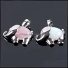 Outros j￳ias conjuntos de j￳ias de elefante fofo de gemas de gemas Lapis Rose Quartz Amethyst Tiger Eye com colar de corrente de lat￣o para crian￧as Drop deliv
