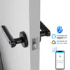 Kablosuz biyometrik akıllı kilit parmak izi şifre elektrik dijital kilit ttlock çinko alaşım anahtarsız güvenlik kapı kolu ev için