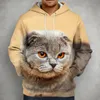 Erkek Hoodies Sweatshirts 3D Son Sevimli Katlanır Kedi Baskı Büyük Çift Gömlek Kentsel Moda ve Kadınların Gevşek Kapşonlu Yakışıklı Adam