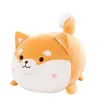 Corky Chai Dog Doll Dog Dog Plush Toy The Кровать, спящая с куклами, дают девочкам подарки на день рождения