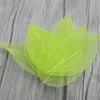 100pcs /Bag Multi-Color Natural Skeleton Leaf Dry Leave sLucia Crafts Scrapbooking Girl DIY Material C0704