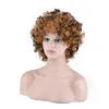 Afro Kinky Wave Wigs Spiral Curl African Loose Wave Synthetic Wig