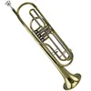 Tubo per accordatura in cupronichel professionale di alta qualità Strumento per tromba per tromba basso laccato oro