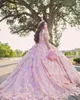 Vintage Pink 3D Flower Quinceanera Dresses Lace-Up Back Sweet 16 Dress Off The Shoulder Plus Size Beaded Ball Gown Party Gowns