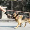 Benepaw Langlebiges Beißzerrer-Hundespielzeug, interaktiv, 2 Griffe, starke Zugkraft, mittelgroß, großes Haustier-Seilspielzeug, Training für den Deutschen Schäferhund, Y200330246G