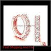 Hoop Hie Earrings Jewelry 925 Sterling Sier Small With Zircon Fashion Engagement Gift For Women Flash Drilling Earring Hj260 K8Ubc Ekwbx D