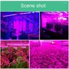 Grow Lights Full Spectrum Phytolamps Lamp LED Phyto Tape Lighting 5V flexibel ljus remsor Vattent￤t v￤xtlamp