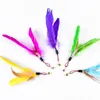 Cat Toys Kitten Pet Teaser Toy Feather Interactive Speelgoed Met Bell Kittens Interactie Chase Plaything Pleases Cats Supplies BH6310 TYJ