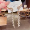 Wing Long Tassel Crystal Crystal Earring Dangle Oorbellen voor Vrouwen Koreaanse Mode-sieraden Geschenken