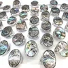 50pcs/lot oval abalone kabuk zilleri yaz tatili için perakende için karışık beden