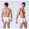 underwear men Boxer shorts mens Ice silk Seamless summer Slim design soft sexy kilot male men's underpants cueca boxer homme G220419