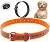 Colliers de chien laisses ceinture de collier pour récepteurs d'entraînement électroniques remplacement clôture anti-aboiement-animal de compagnie TPU StrapDog LeashesDog