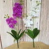 Dekoratif Çiçek Çelenkleri 1 PCS 2 Kafalar Yapay Çiçek Phalaenopsis Sahte İpek Kumaş Kelebek Orkide Saksı Ev Partisi Dekorasyon Dört