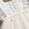 Girl's Dresses Summer Baby Dress Clothes For Toddler Kids Princess Girls Elegant Feather Tassel Floral Lace Pearl Jumpsuits Tulle Party
